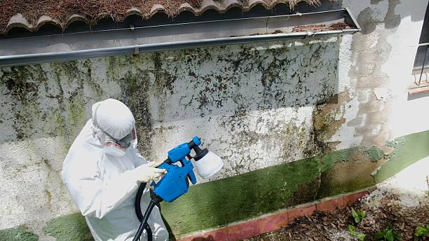 Top rated local Mold Remediation specialists in Spring House, PA